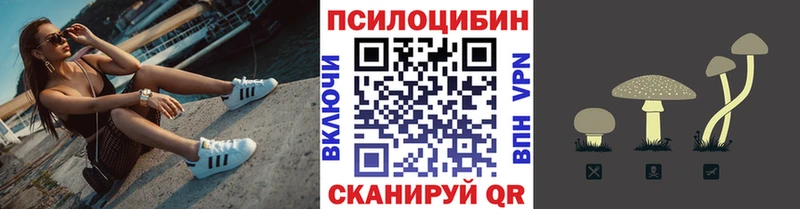Псилоцибиновые грибы Psilocybe  Мышкин 